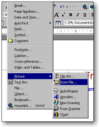 insert.jpg (31215 bytes)