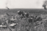 nar003-2.jpg