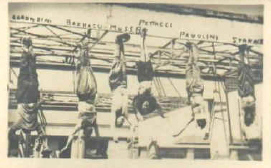 nar005-5.jpg